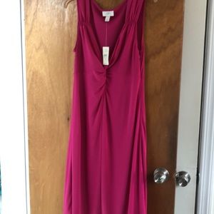 NWT Ann Taylor Loft Summer Pink Dress